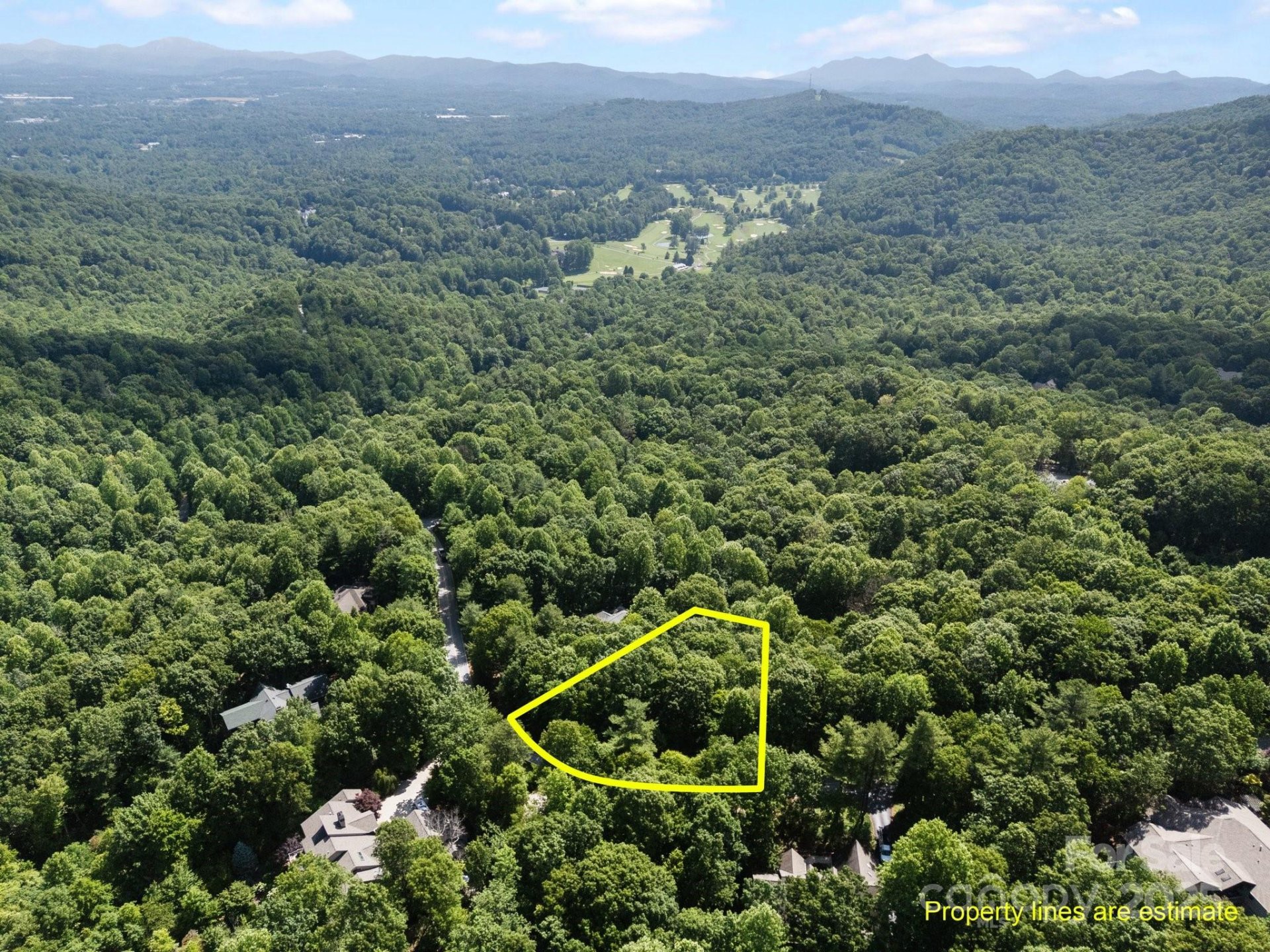 Property image 5 at 360 Kenmure Drive, Flat Rock, NC 28731