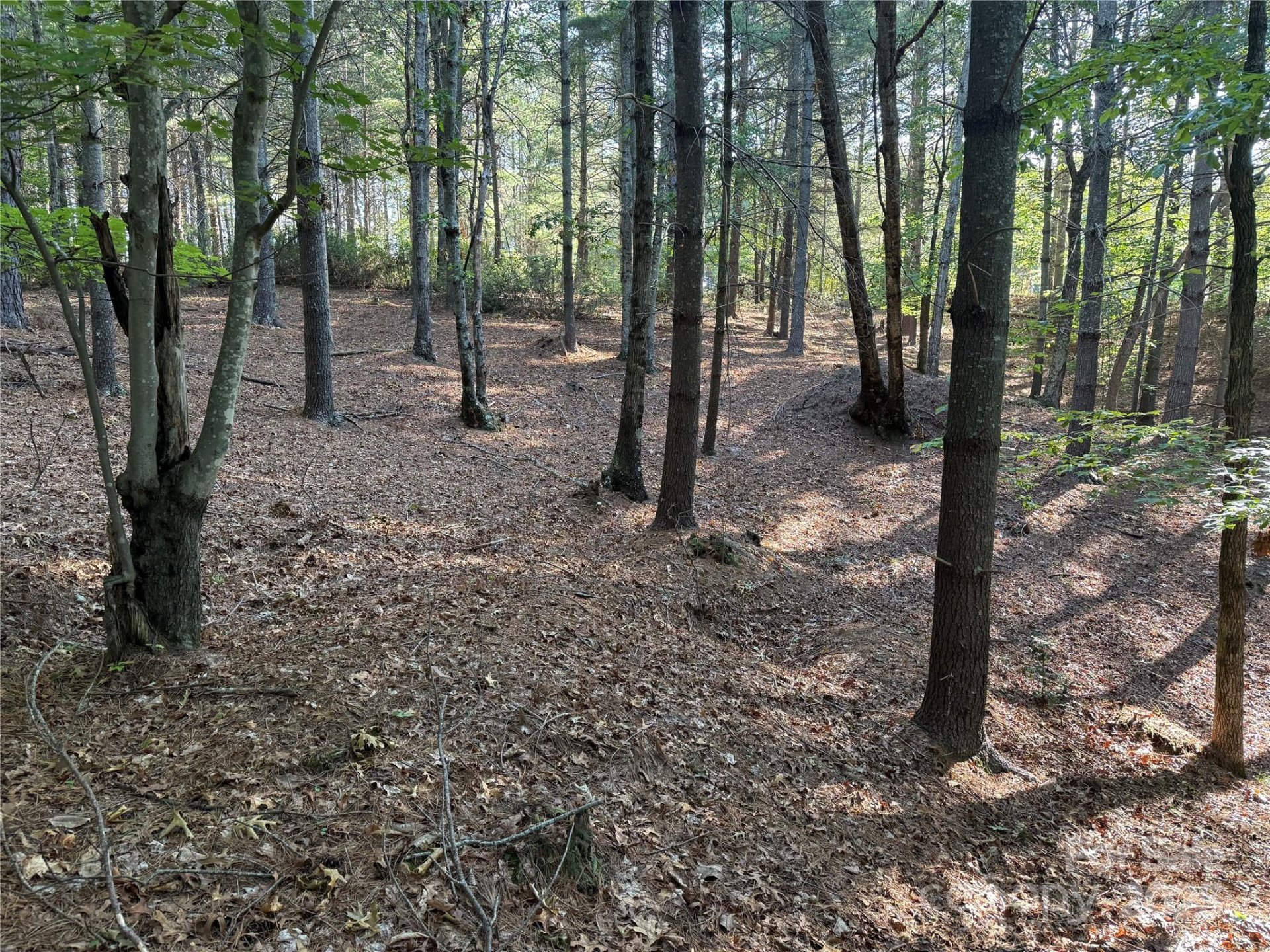 Property image 2 at 0 Bear Cliff Drive, Nebo, NC 28761