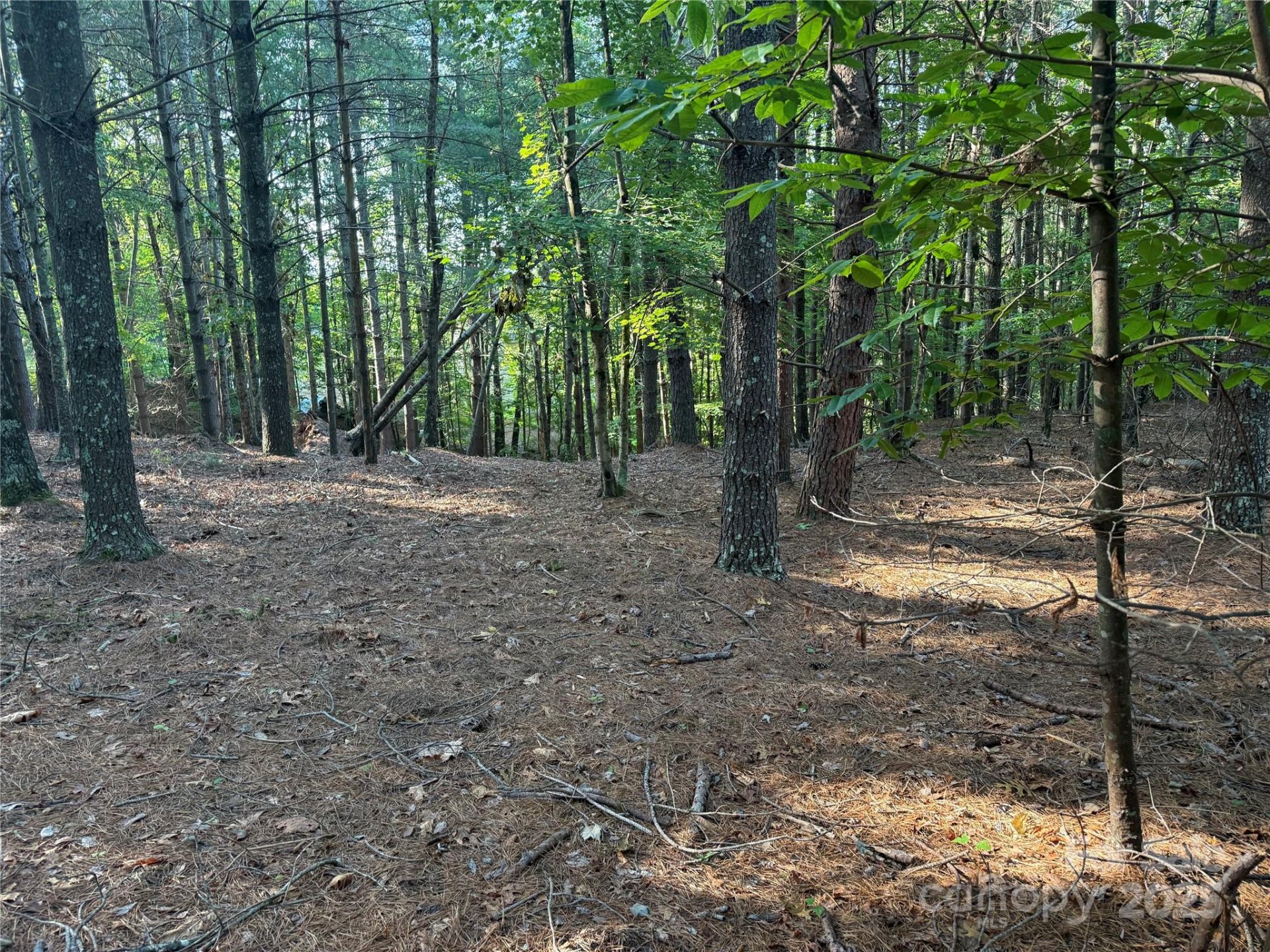 Property image 3 at 0 Bear Cliff Drive, Nebo, NC 28761