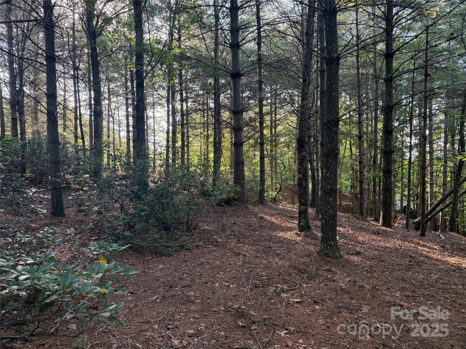 Property image 4 at 0 Bear Cliff Drive, Nebo, NC 28761