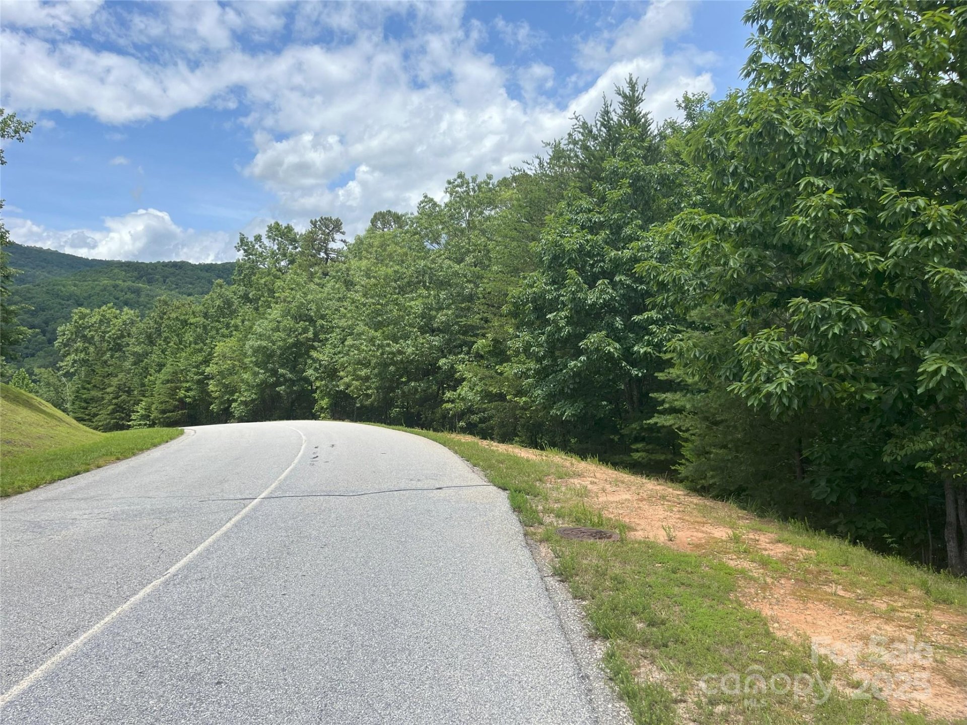 Property image 5 at 00 Deep Gap Road, Mill Spring, NC 28756