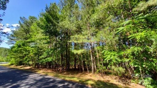Property image 4 at 23 24 Loblolly Lane, Mill Spring, NC 28756