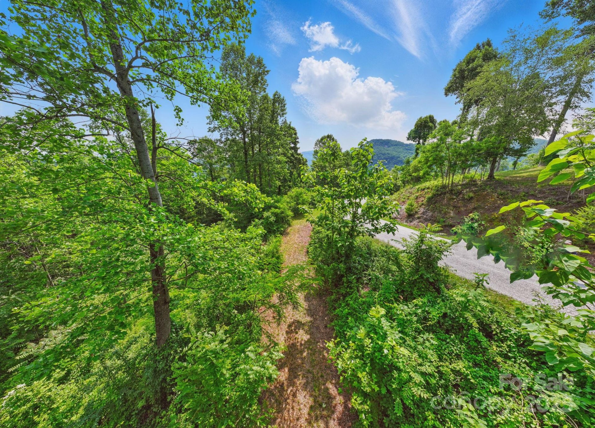 Property image 3 at 000 Silverglen Way, Hendersonville, NC 28792
