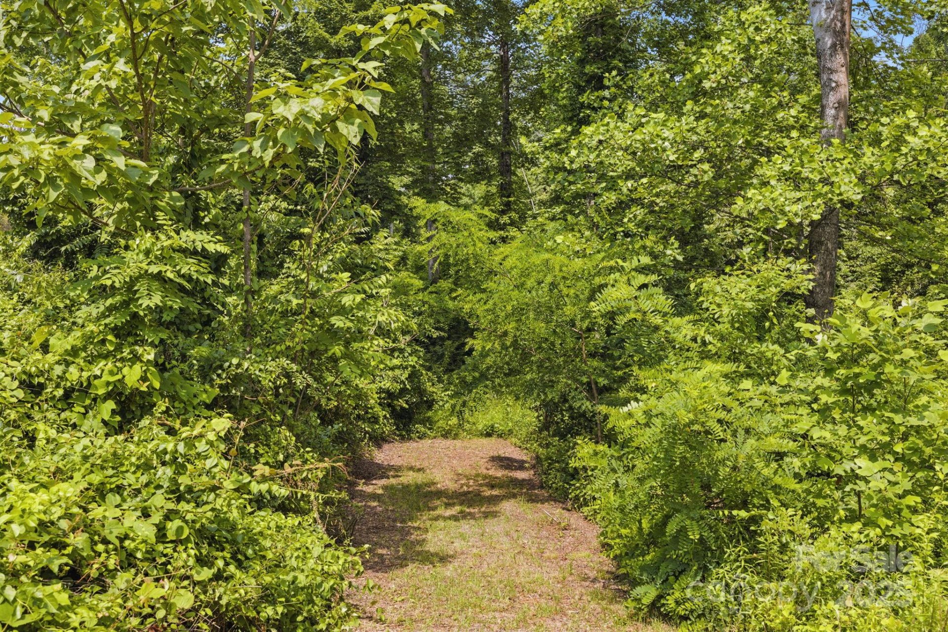 Property image 4 at 000 Silverglen Way, Hendersonville, NC 28792