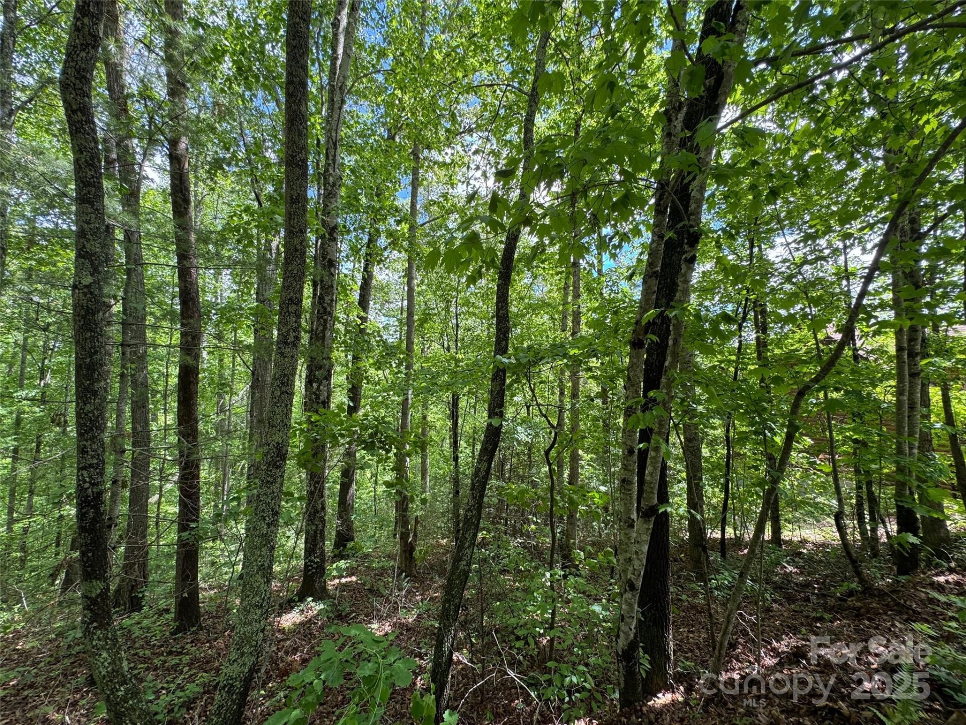 Property at 99999 Morning Star Drive, Leicester, NC 28748