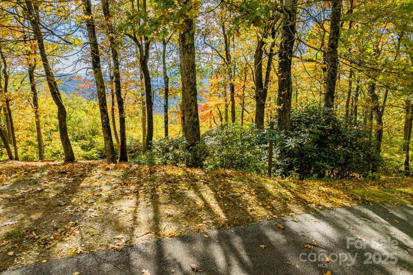 Property image 4 at 148 High Cliffs Trail, Black Mountain, NC 28711