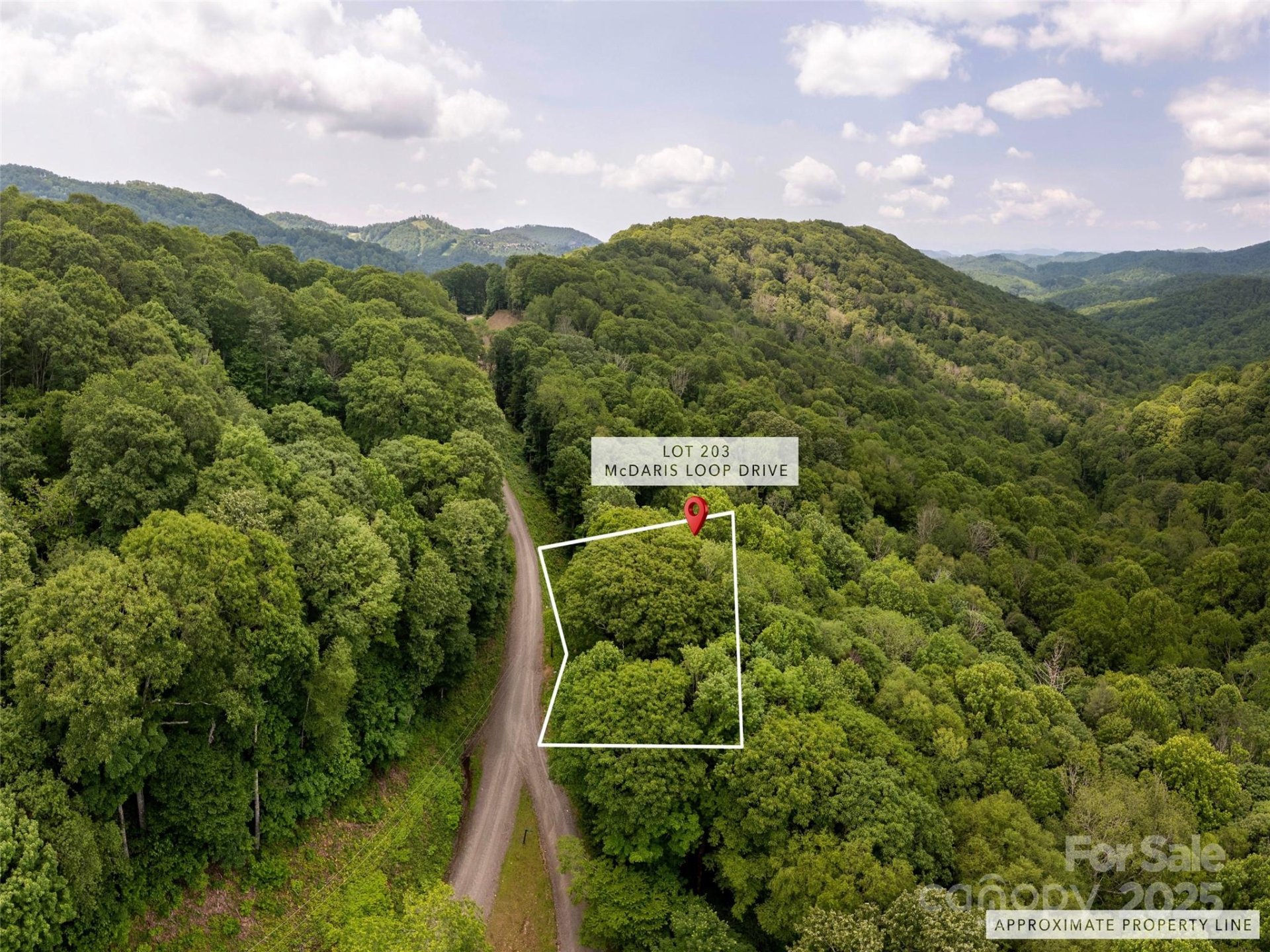 Property at 000 Mcdaris Loop Drive, Mars Hill, NC 28754