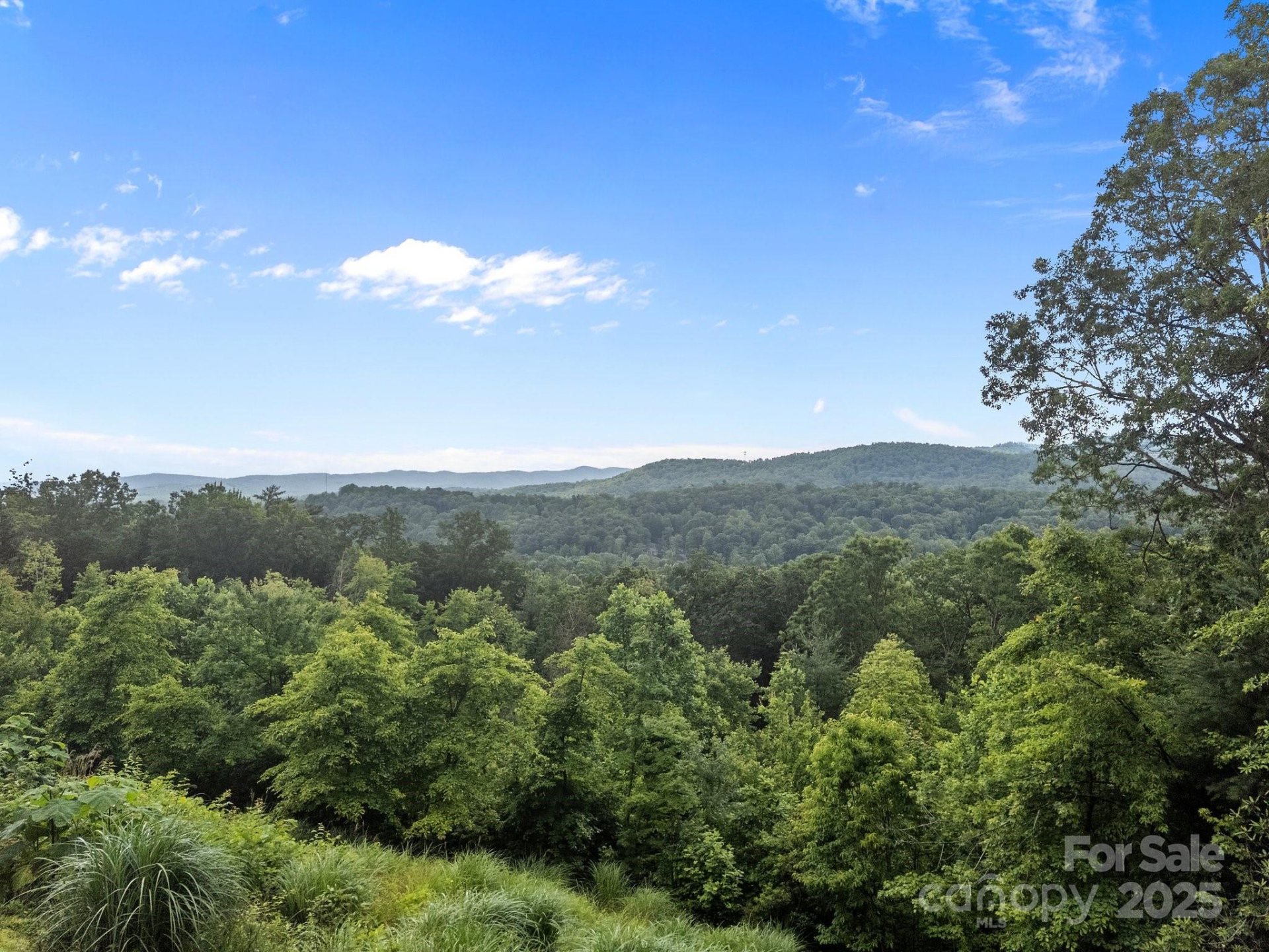 Property image 5 at W12 Curtain Bluff Bluff, Hendersonville, NC 28791