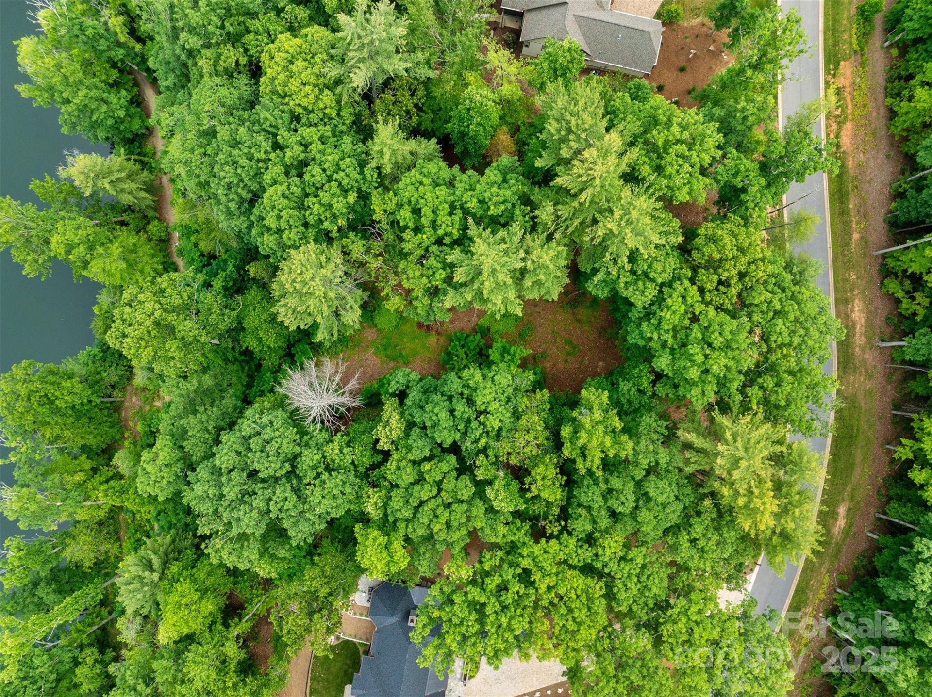 Property image 3 at 17 Hendrickson Court, Candler, NC 28715