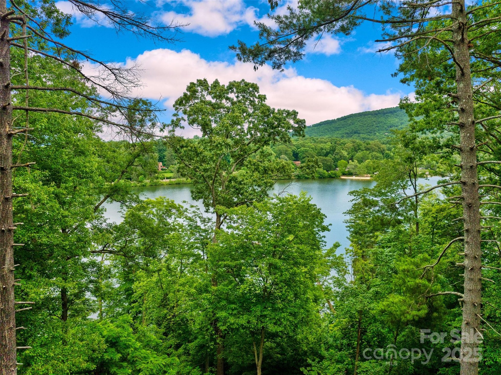 Property image 4 at 17 Hendrickson Court, Candler, NC 28715