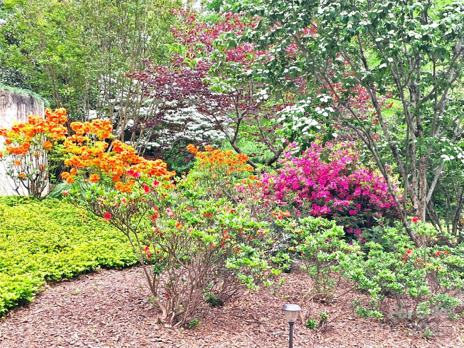 Property image 3 at 69 Benhurst Court, Hendersonville, NC 28791