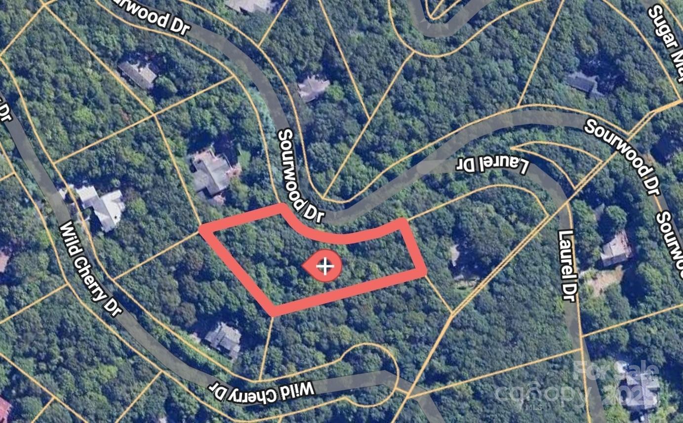 Property image 2 at 47 Sourwood Drive, Mills River, NC 28759