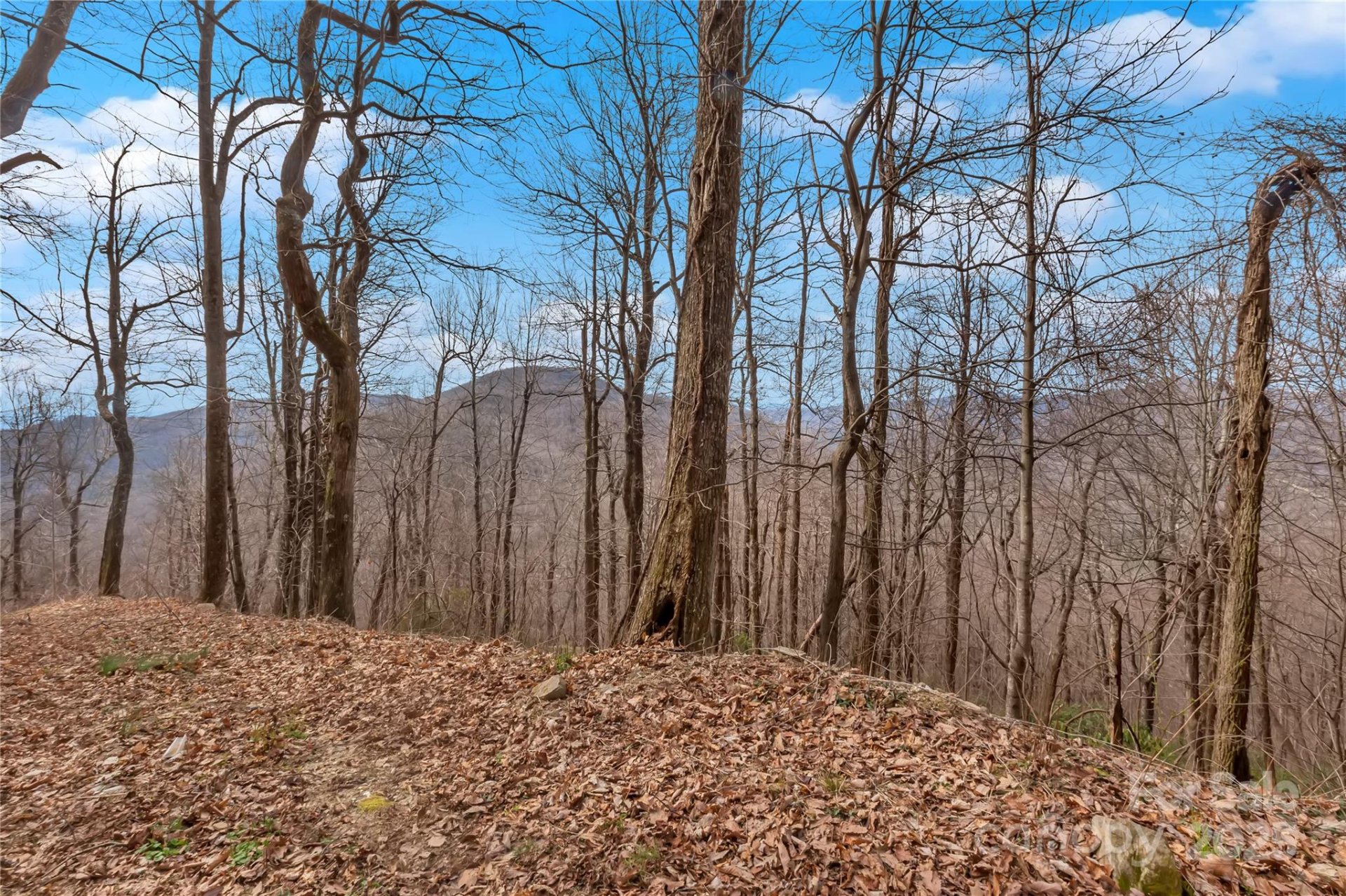 Property image 5 at 154 High Cliffs Trail, Black Mountain, NC 28711