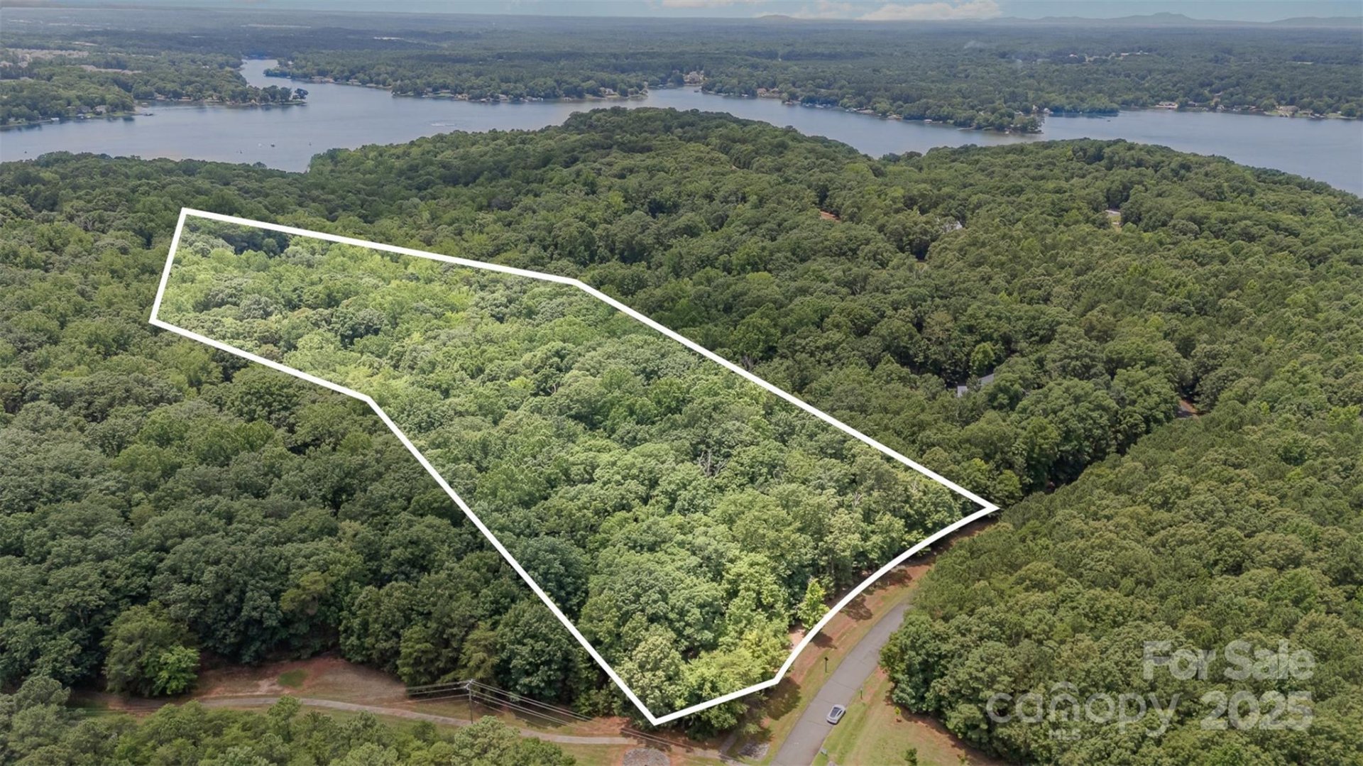 14229 Roe Buck Meadow Lane