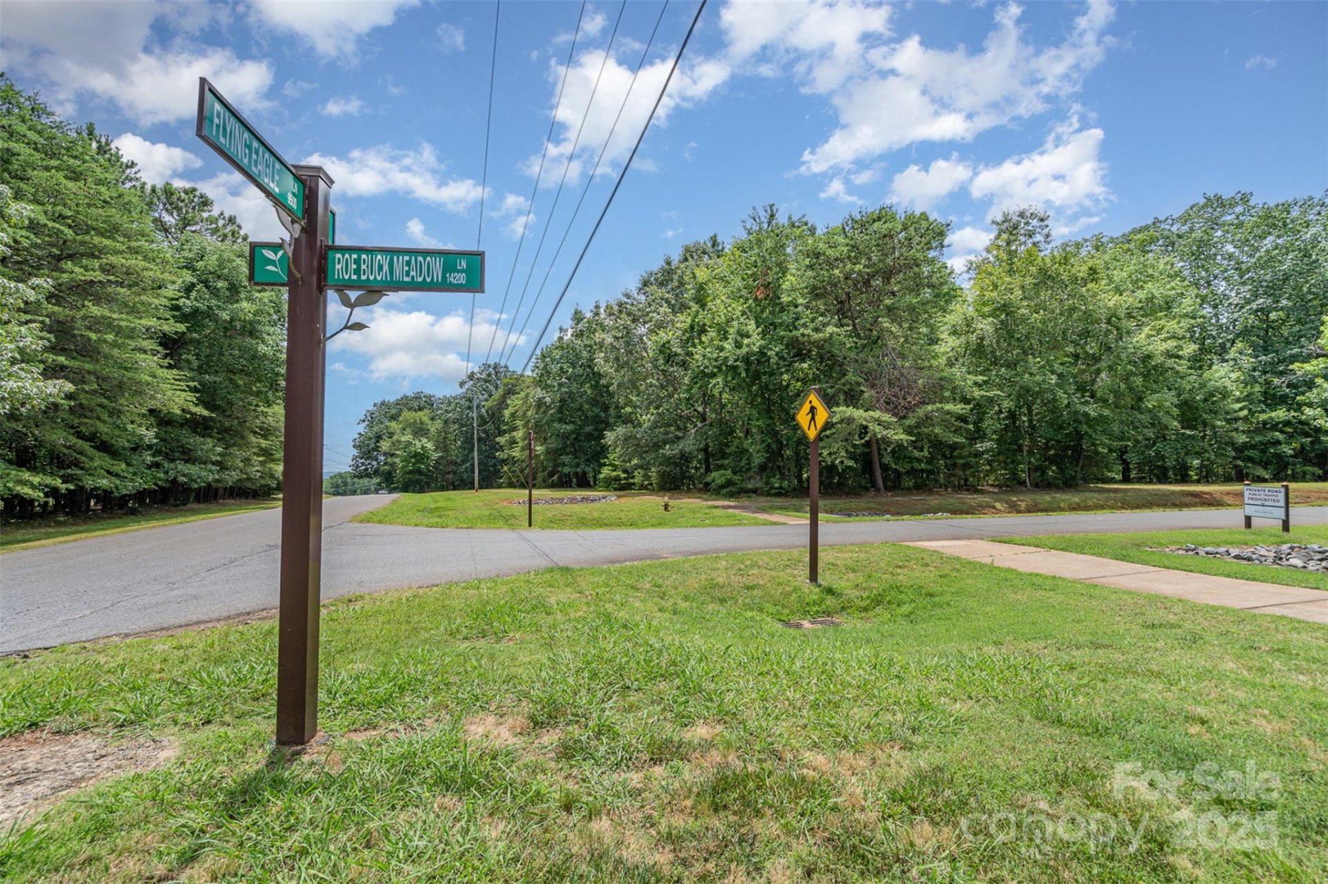 Property image 4 at 14229 Roe Buck Meadow Lane, Charlotte, NC 28278