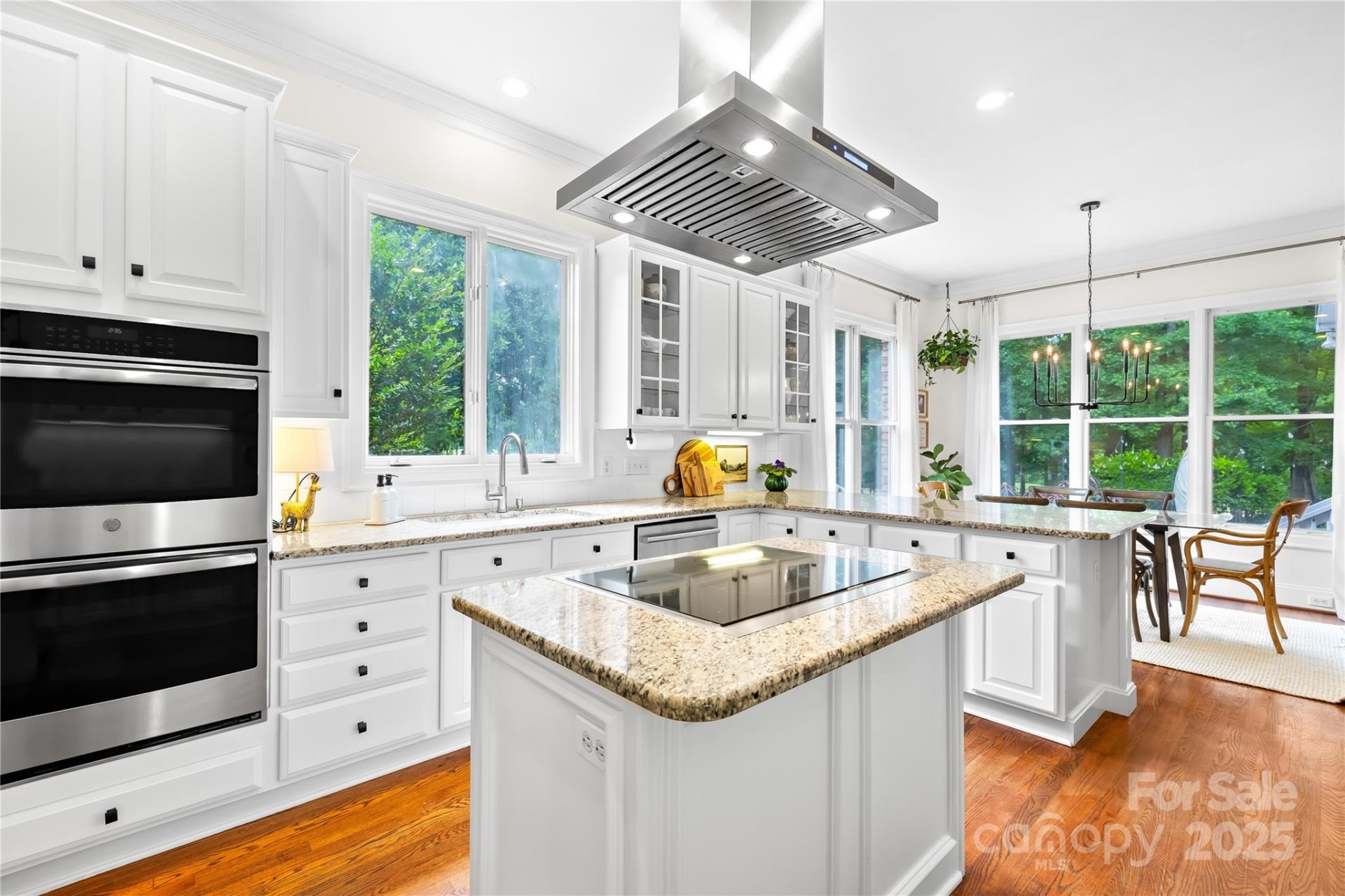 Property image 4 at 7229 Olde Sycamore Drive, Mint Hill, NC 28227