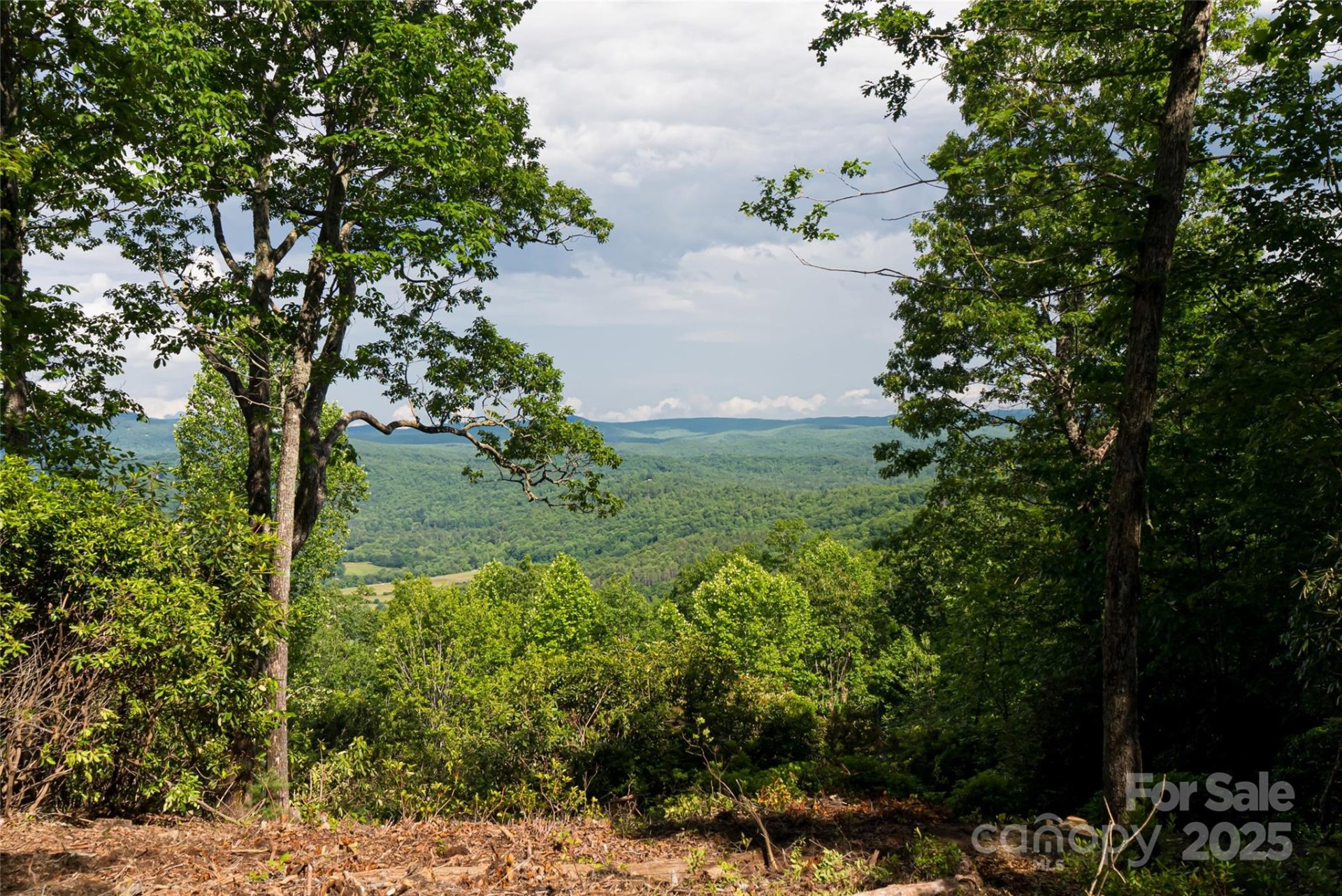 The Reserve, Pisgah Forest community