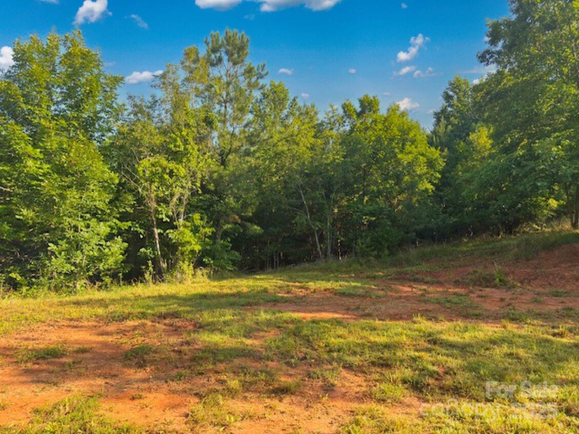 Property image 2 at 0 Cross Creek Drive, Rutherfordton, NC 28139