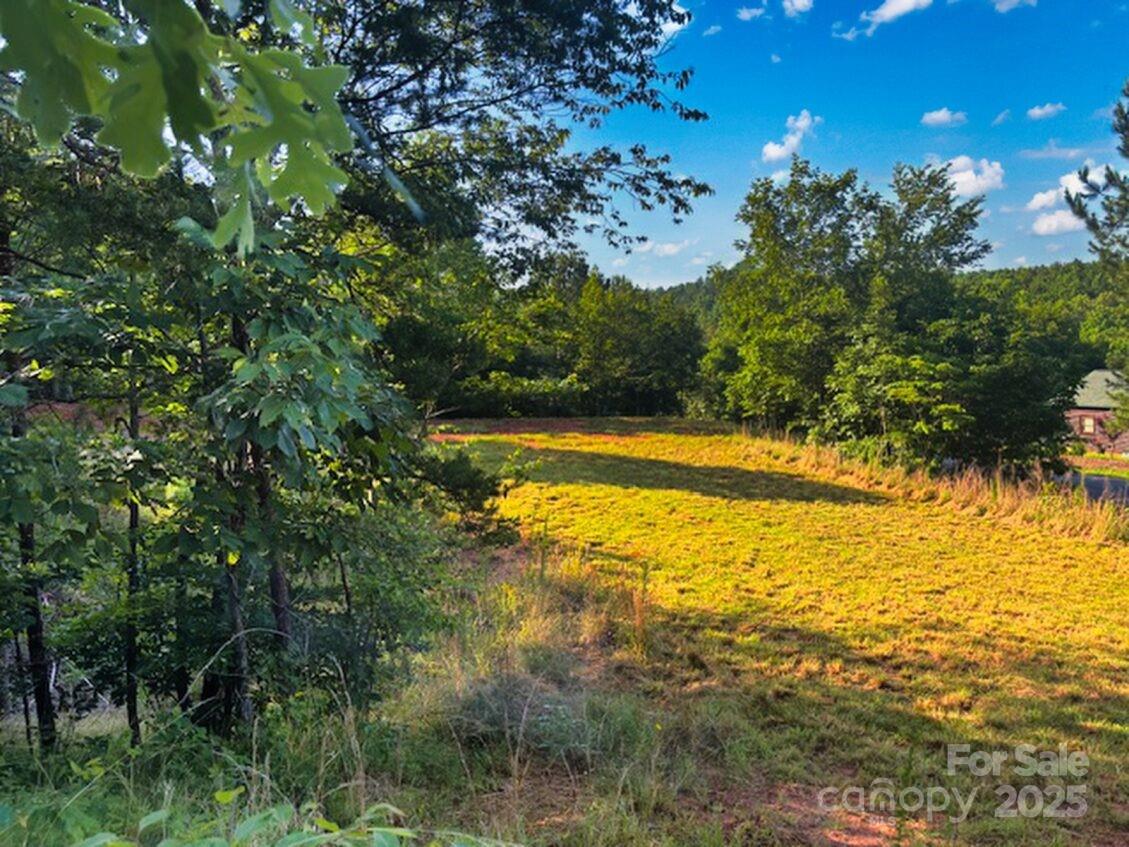 Property image 3 at 0 Cross Creek Drive, Rutherfordton, NC 28139
