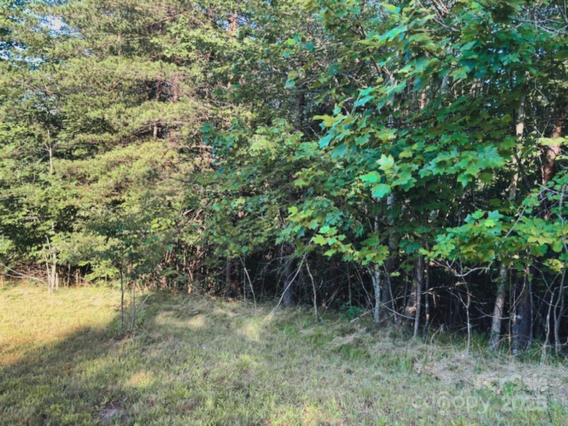 Property image 4 at 0 Cross Creek Drive, Rutherfordton, NC 28139