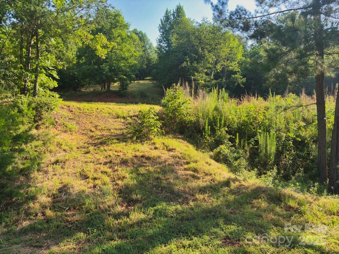 Property image 5 at 0 Cross Creek Drive, Rutherfordton, NC 28139