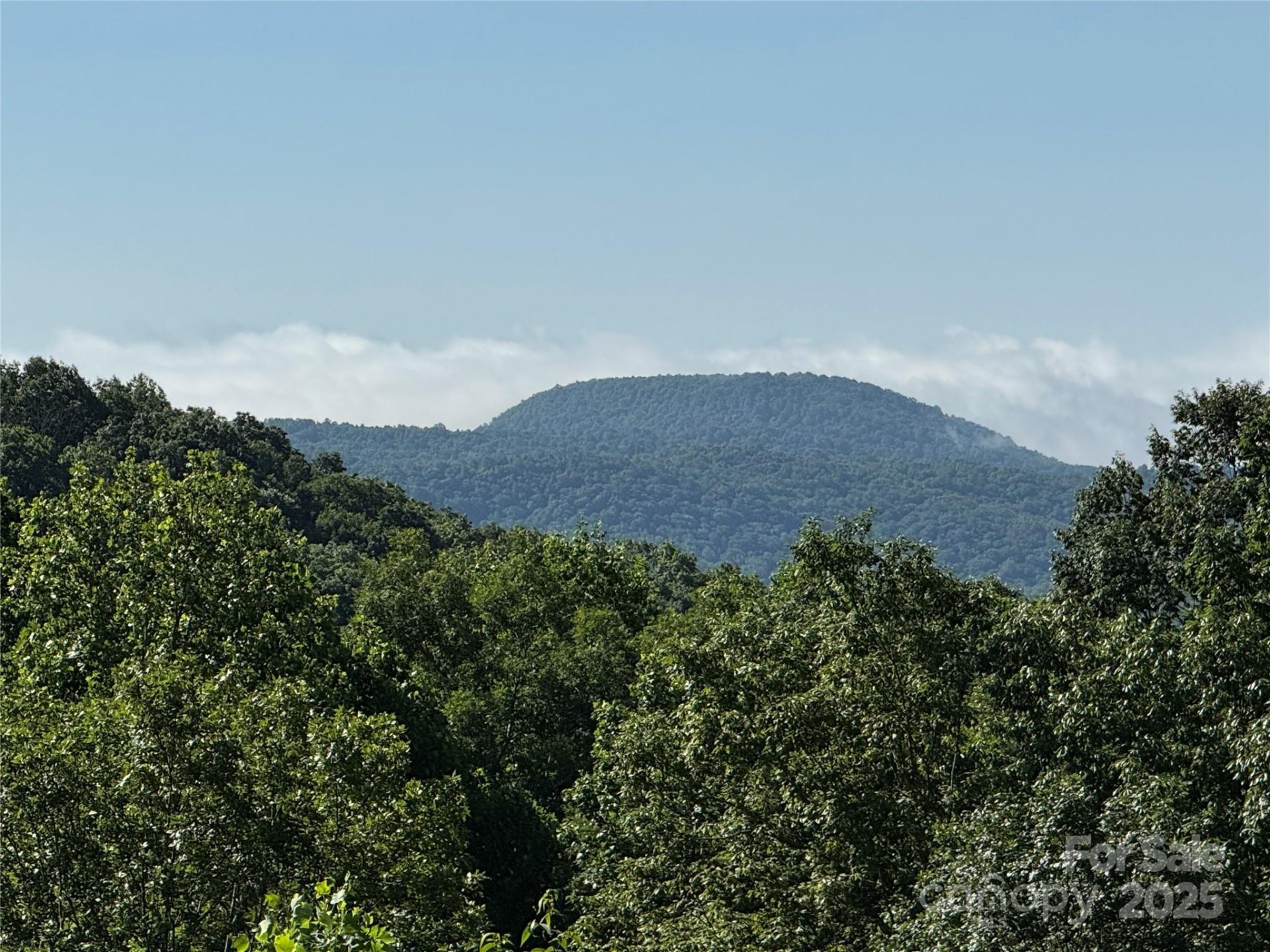 Property image 2 at 807 Hollybrook Drive, Flat Rock, NC 28731