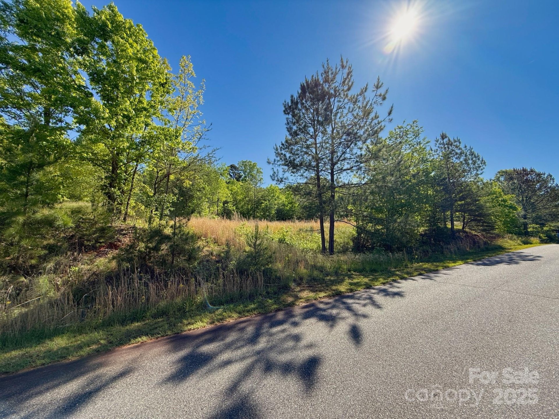 Property image 5 at 0 Cross Creek Drive, Rutherfordton, NC 28139