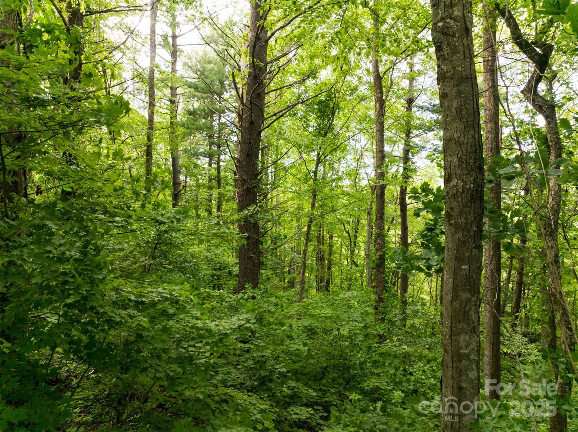 Property image 3 at 9999 White Oak Gap Road, Asheville, NC 28803
