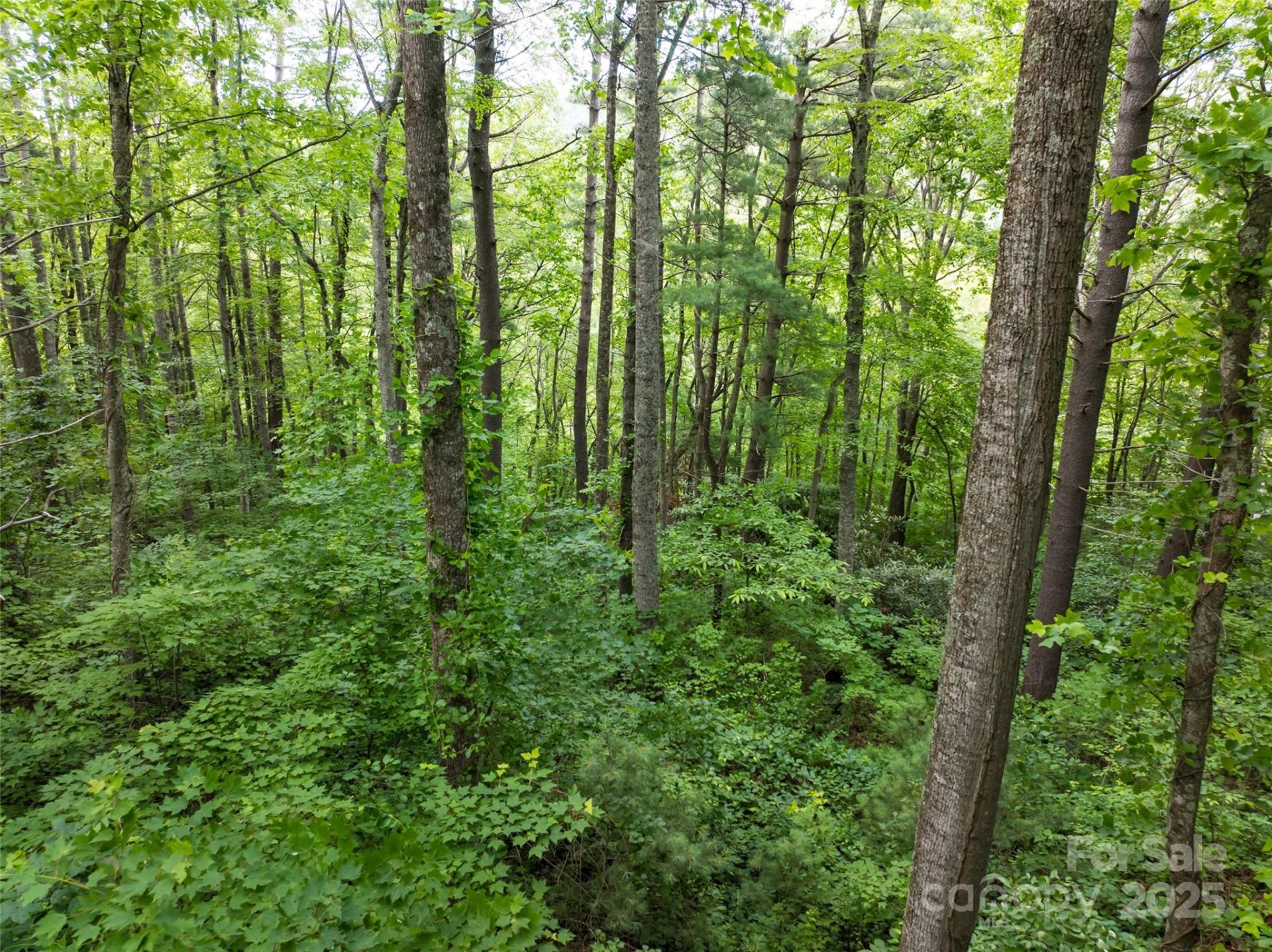 Property image 4 at 9999 White Oak Gap Road, Asheville, NC 28803