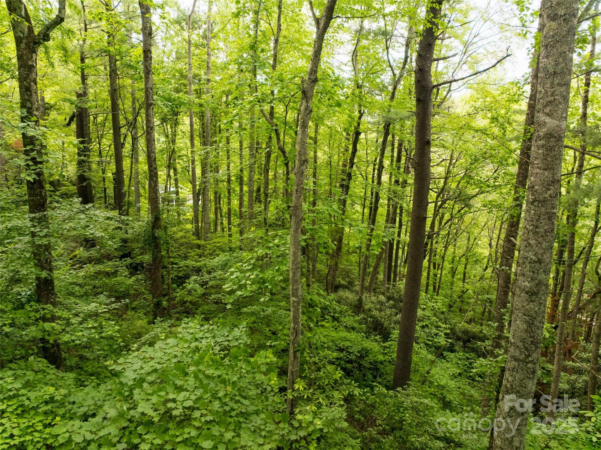 Property image 5 at 9999 White Oak Gap Road, Asheville, NC 28803