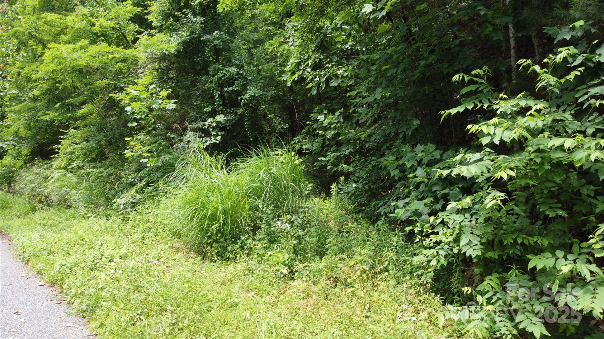 Property image 1 at 830 Cove Creek Lane, Weaverville, NC 28787