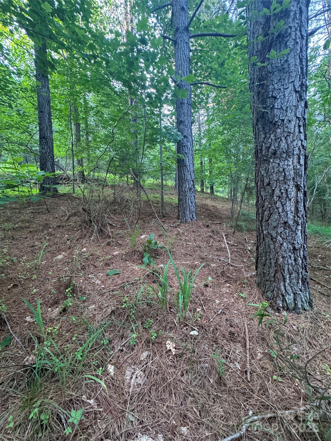 Property image 2 at 0 Clearwater Parkway, Rutherfordton, NC 28139