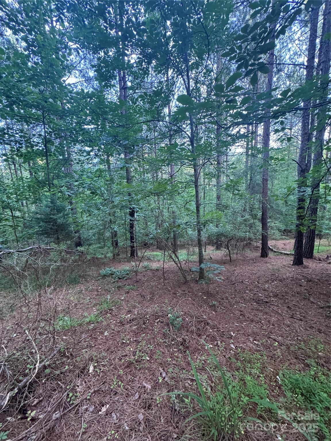 Property image 3 at 0 Clearwater Parkway, Rutherfordton, NC 28139