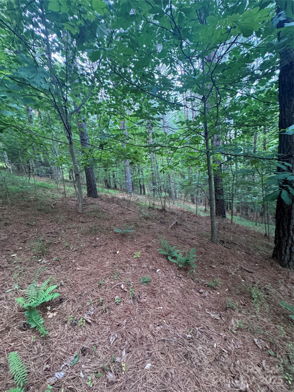 Property image 4 at 0 Clearwater Parkway, Rutherfordton, NC 28139