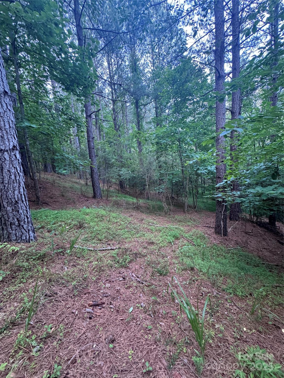 Property image 5 at 0 Clearwater Parkway, Rutherfordton, NC 28139