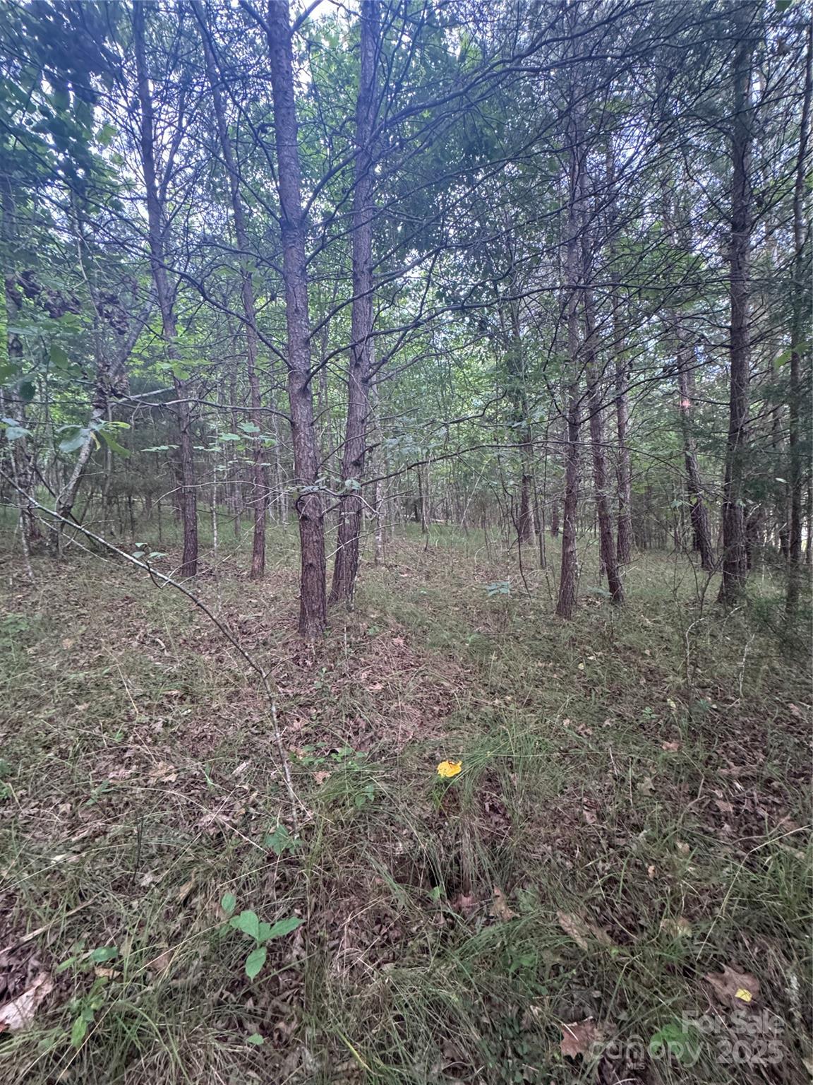 Property image 2 at 0 Cross Creek Drive, Rutherfordton, NC 00000