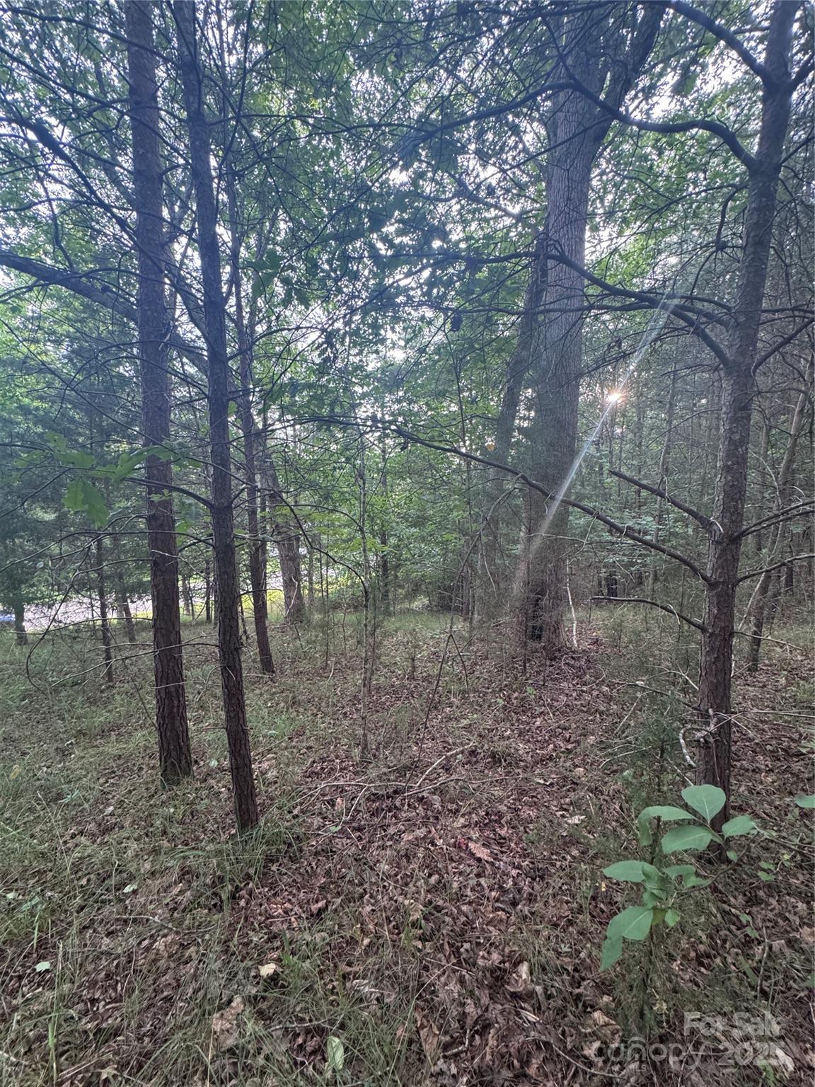 Property image 3 at 0 Cross Creek Drive, Rutherfordton, NC 00000