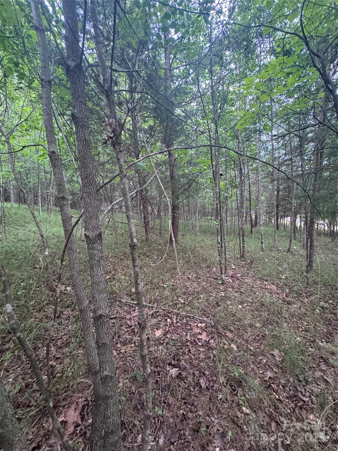 Property image 4 at 0 Cross Creek Drive, Rutherfordton, NC 00000