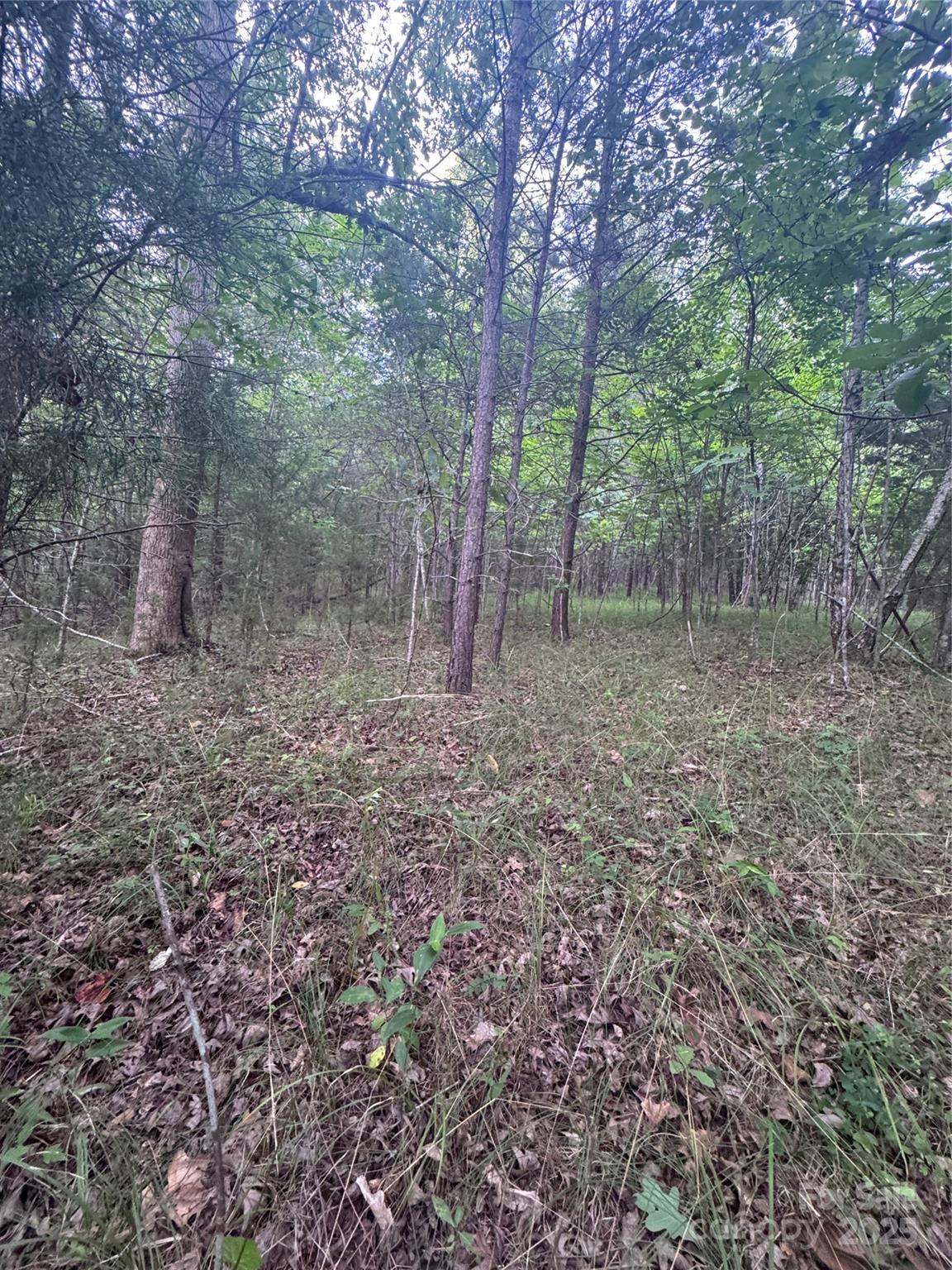 Property image 5 at 0 Cross Creek Drive, Rutherfordton, NC 00000