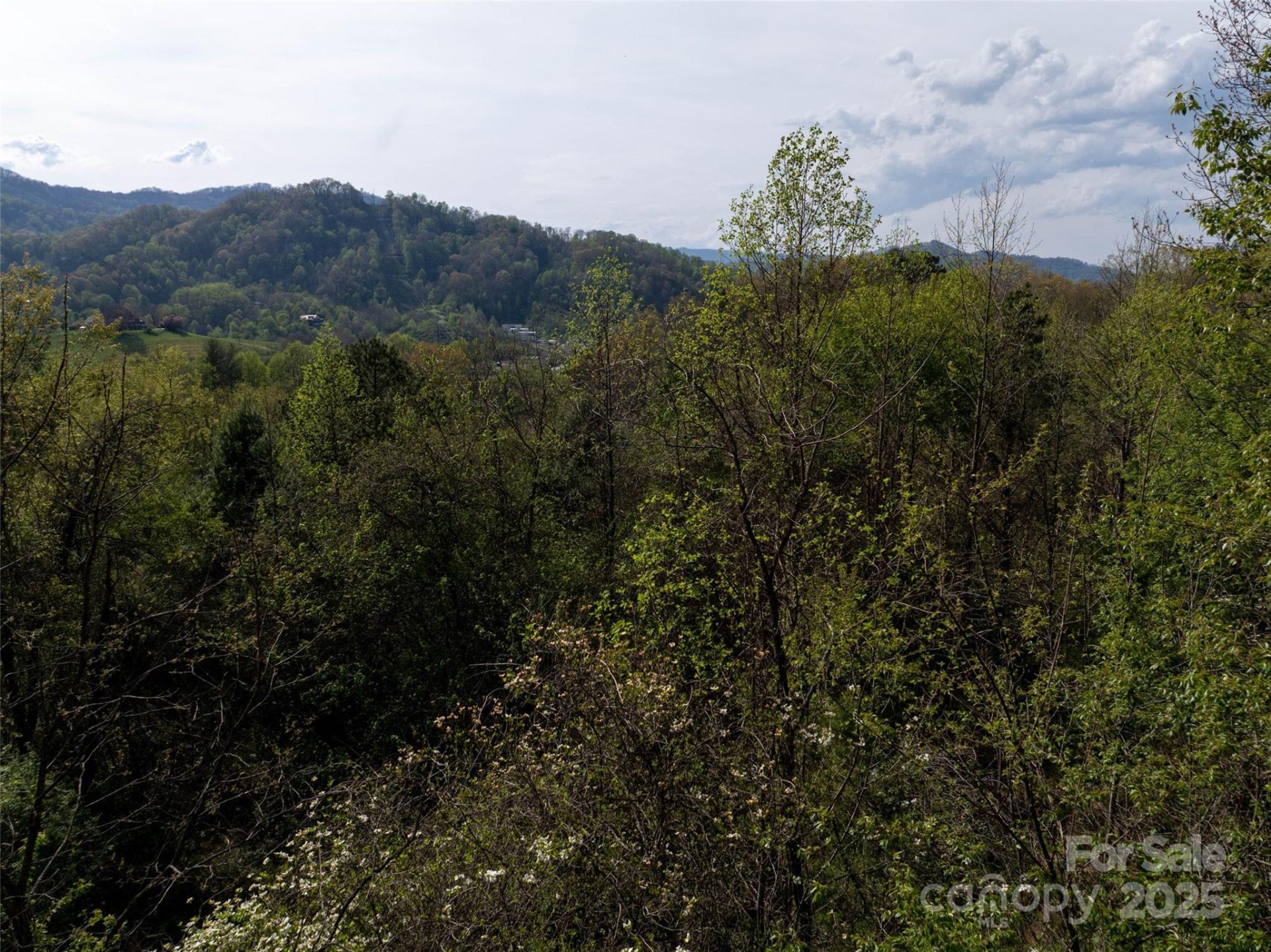Property image 5 at Lot 39 Sunnybrook Trail, Clyde, NC 28721