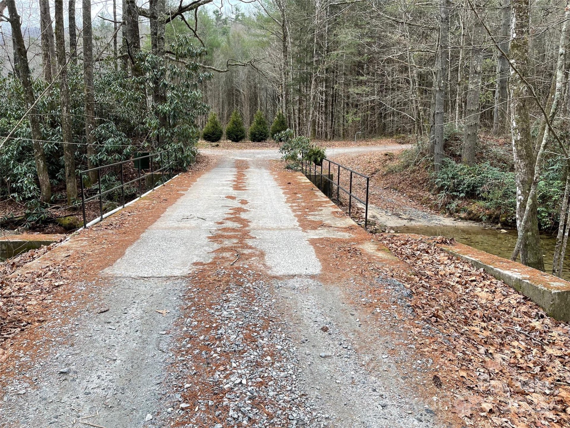 Property image 2 at 290 Shoal Creek Road, Zirconia, NC 28739