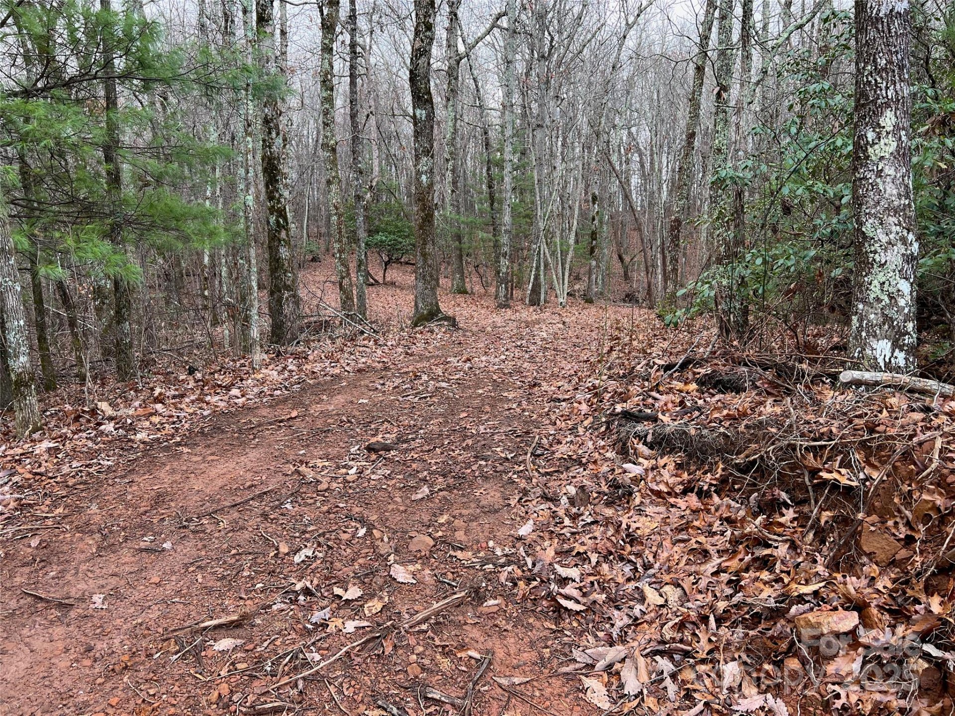 Property image 3 at 290 Shoal Creek Road, Zirconia, NC 28739