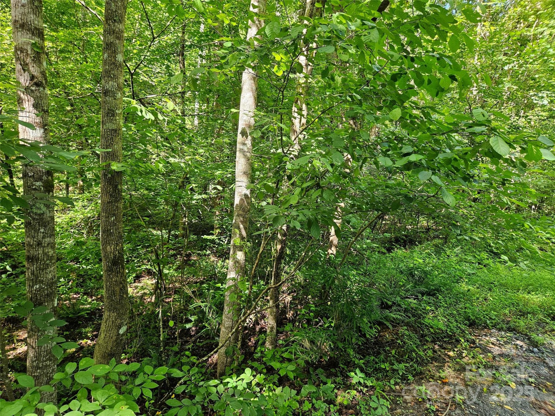 Property image 2 at 0 Sandpiper Avenue, Lake Lure, NC 28746