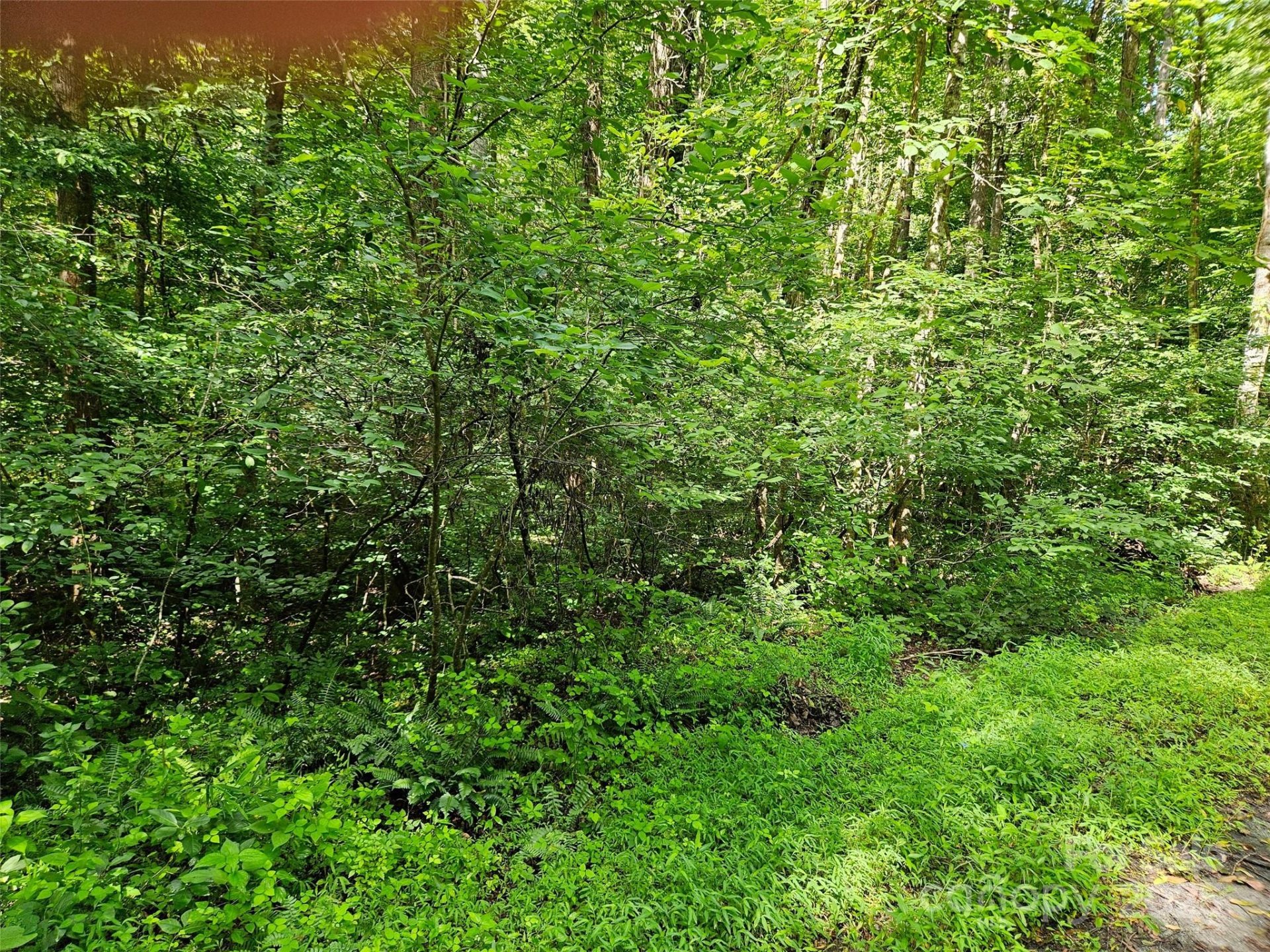 Property image 3 at 0 Sandpiper Avenue, Lake Lure, NC 28746