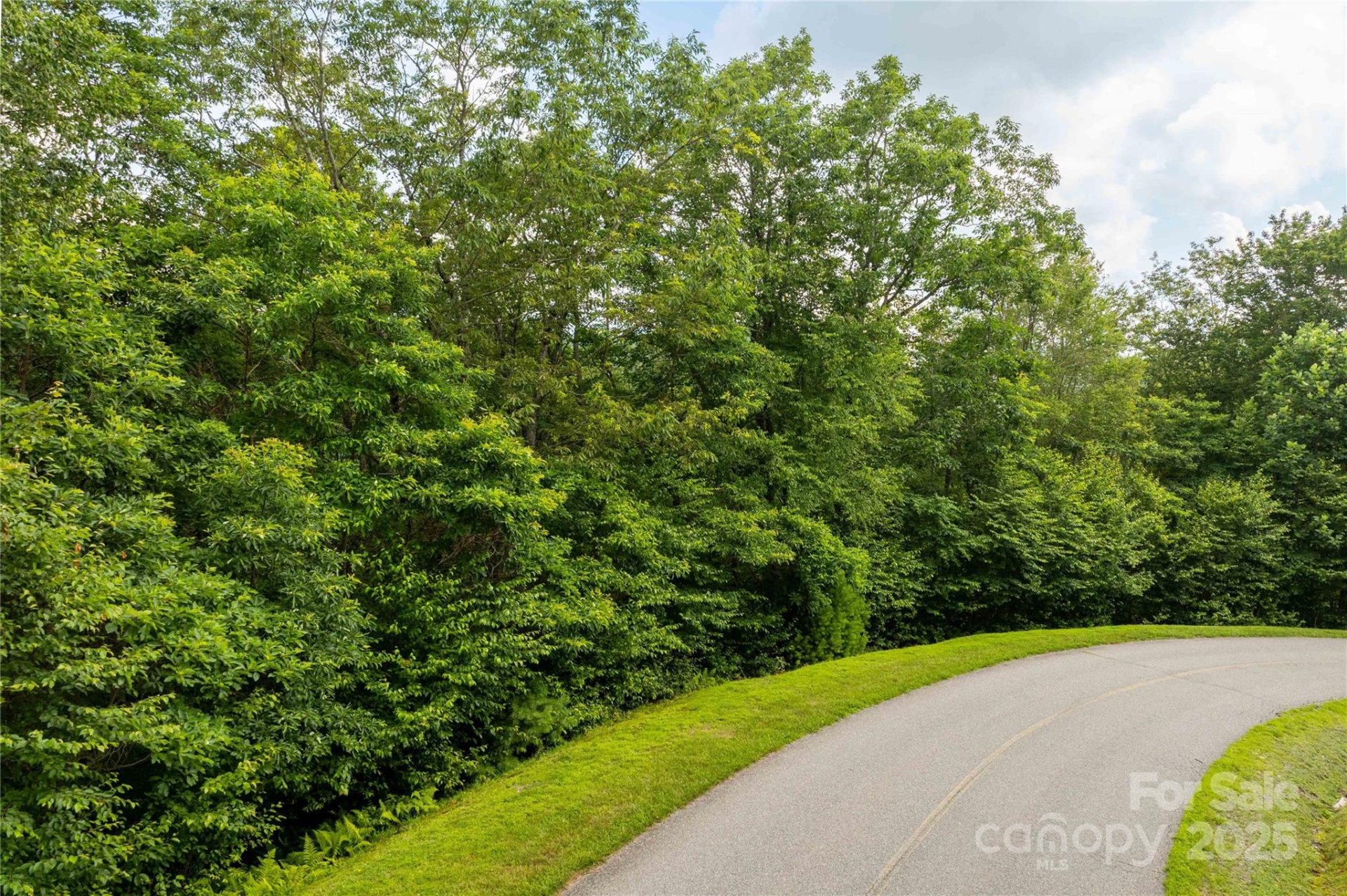 Property at Tbd Lot 122 Firethorn Trail, Blowing Rock, NC 28605