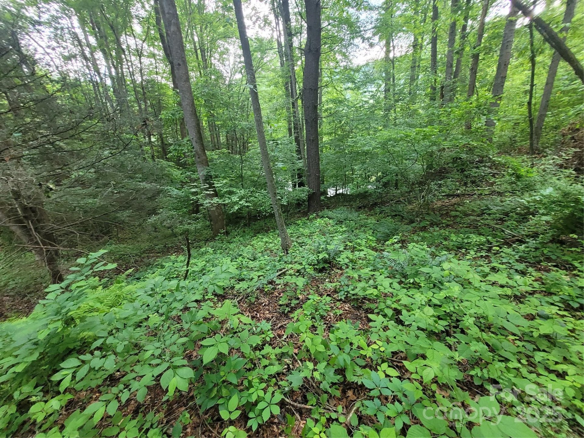 Property at 00 Serendipity Lane, Waynesville, NC 28785