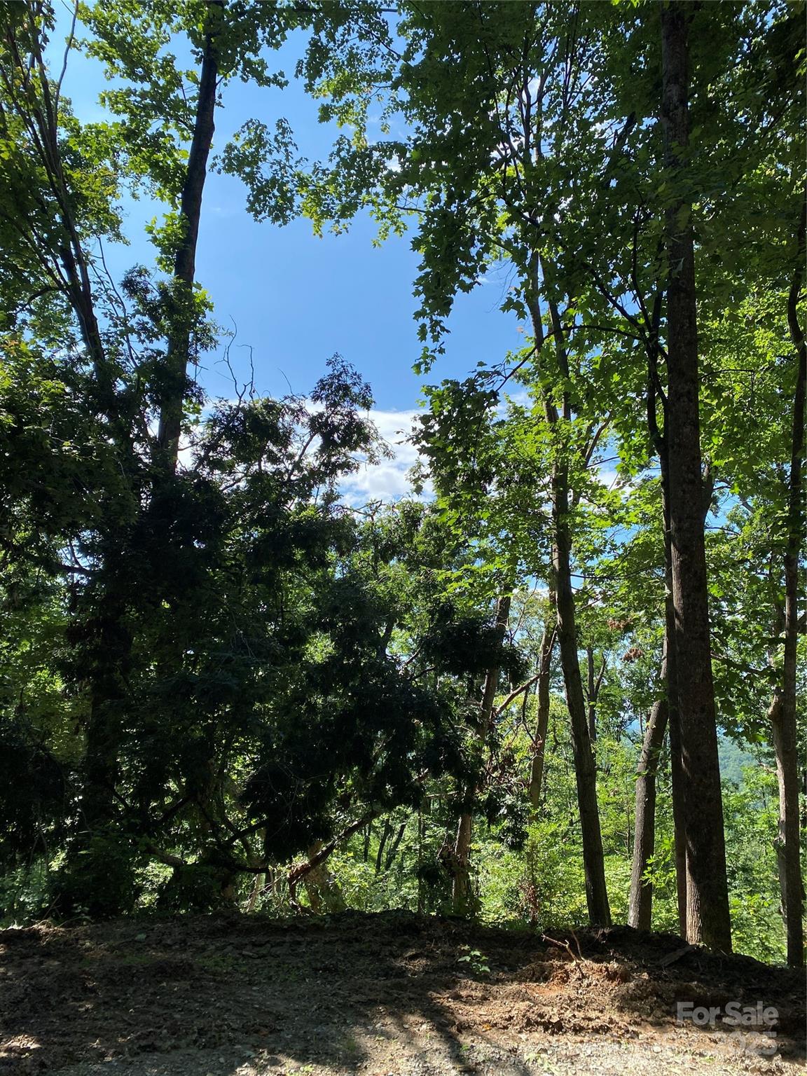 Property image 2 at 0 Ridgecrest Drive, Lake Lure, NC 28746