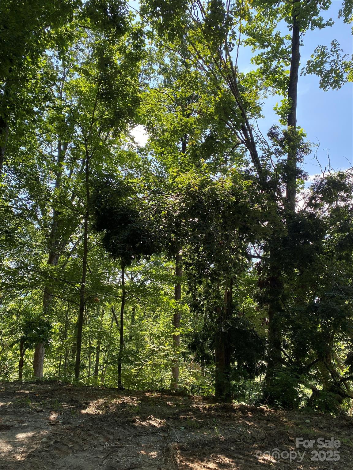 Property image 3 at 0 Ridgecrest Drive, Lake Lure, NC 28746