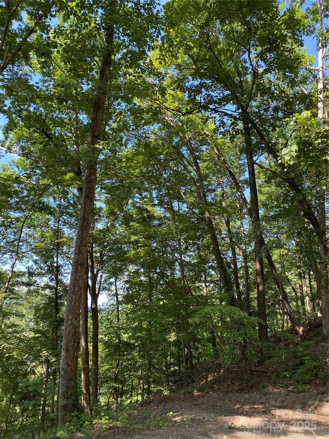 Property image 4 at 0 Ridgecrest Drive, Lake Lure, NC 28746