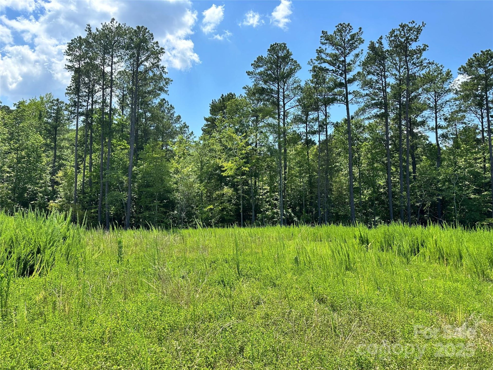 Property image 4 at 1418 Samuel Spencer Parkway, Davidson, NC 28036